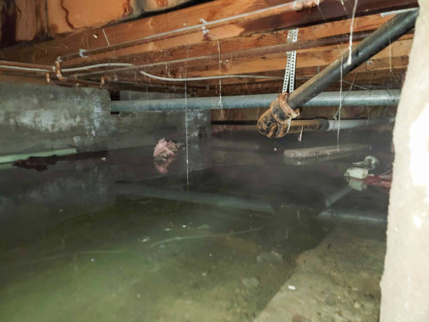 Water damage restoration process in Hurley, NM