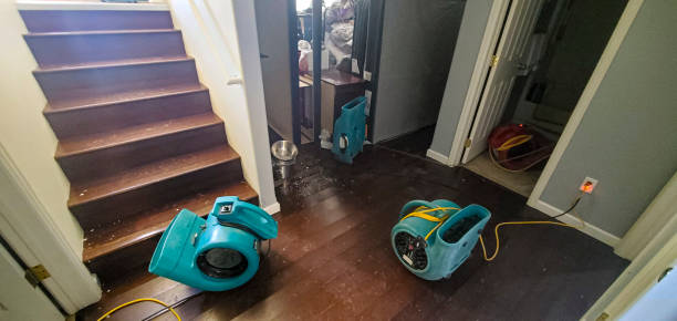 Best Water damage restoration mold remediation  in Hurley, NM
