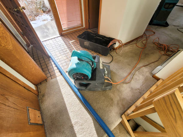 Best Water damage restoration near me  in Hurley, NM
