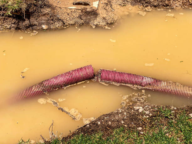Best Mold removal after water damage  in Hurley, NM